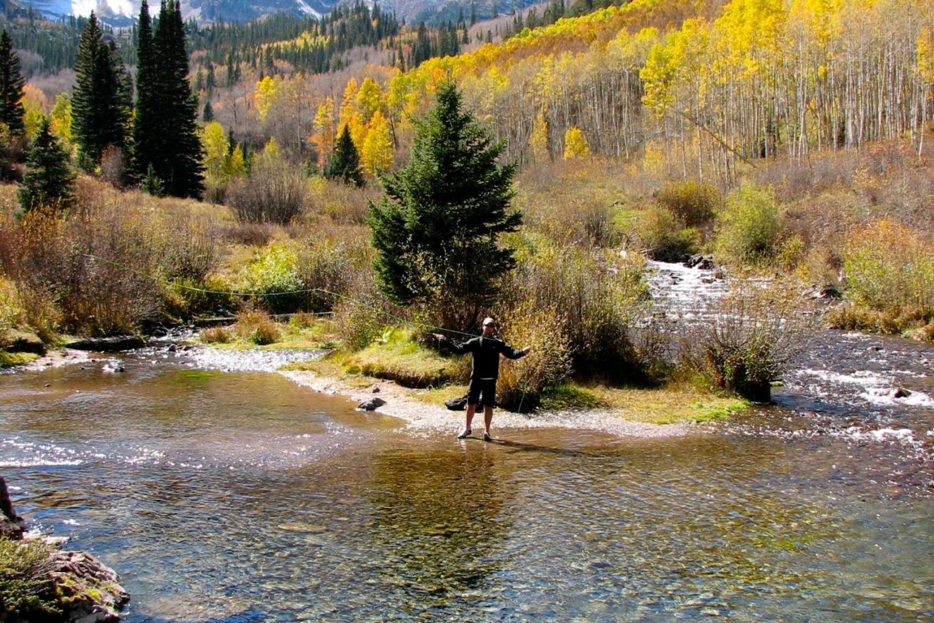 Chaparral Aspen Ranch Cabin Woody Creek Esterno foto